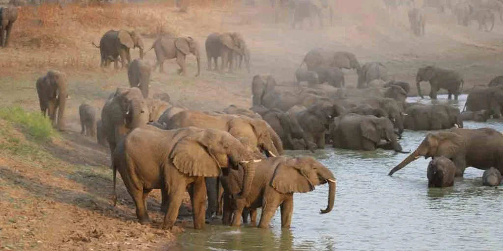 T3'S GLOBAL FOOTPRINT PART II: NAVIGATING OUR BRANCHES AND...