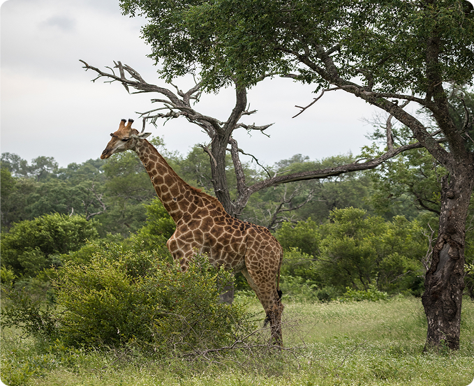 Top 6 Underrated National Parks in Africa Worth Visiting